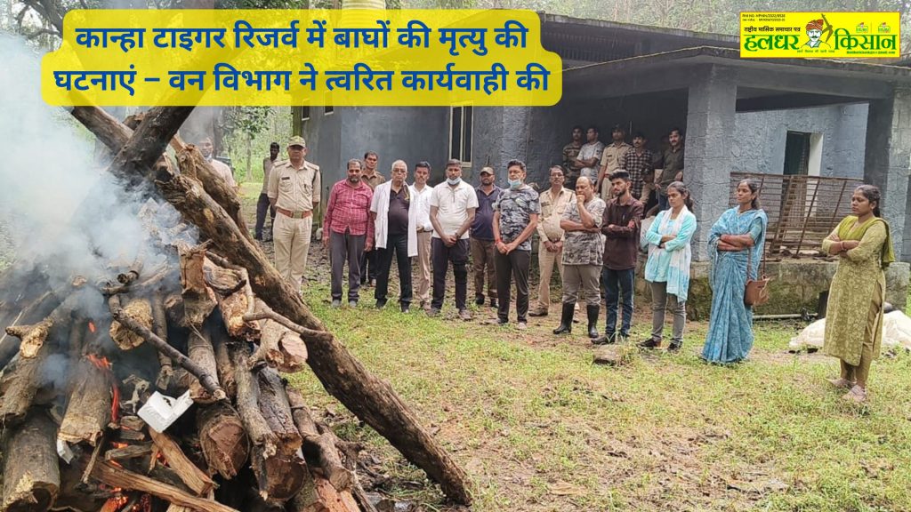 garg_pawankumar's tweet card. कान्हा टाइगर रिजर्व में बाघों की मृत्यु की घटनाओं पर वन विभाग की त्वरित कार्यवाही की जानकारी प्राप्त करें। जानें क्या कदम उठाए गए हैं।