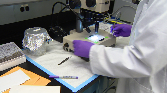 JohnsHopkinsMMI's tweet card. Inside Douglas Norris' lab at the Johns Hopkins Bloomberg School of Public Health is a healthy stack of envelopes — not with letters inside, but with ticks.