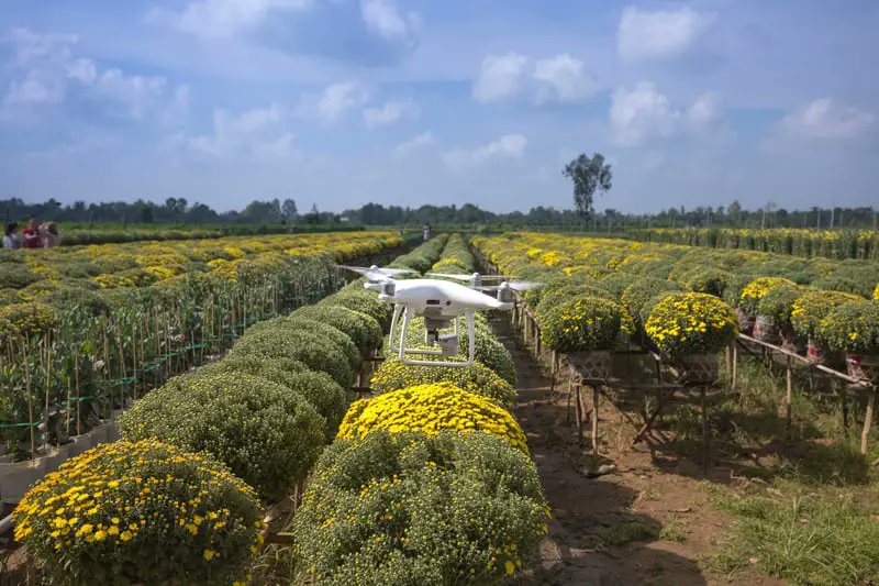 Hinshelwood_S's tweet card. Technology has been incorporated in many fields and is responsible for simplifying businesses and agriculture has not been left behind.