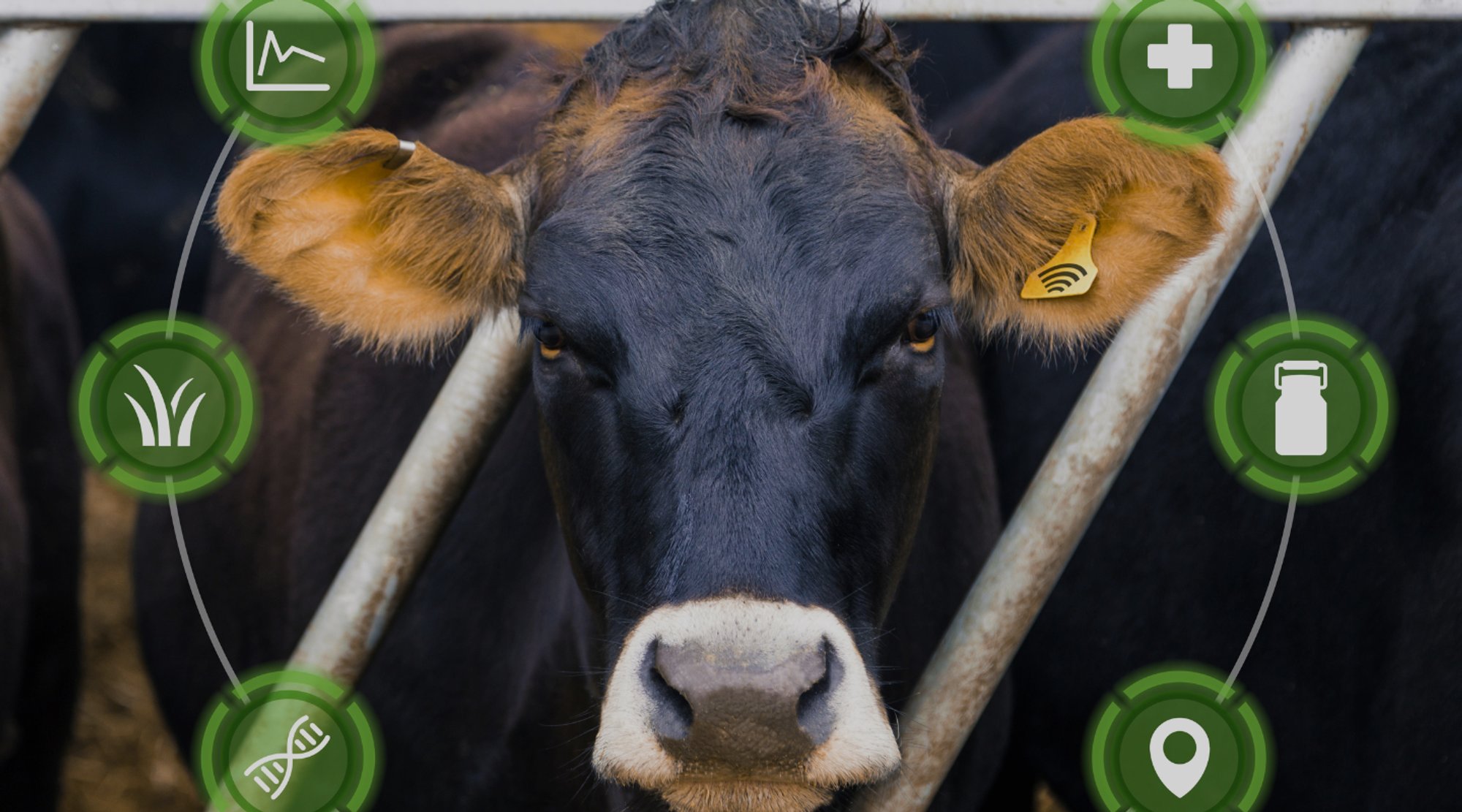 Russel_Tech_Law's tweet card. Join us for an insightful journey into the mind of a visionary entrepreneur, Russel Luck, who has led a transformative revolution in the livestock sector through technology and innovation.