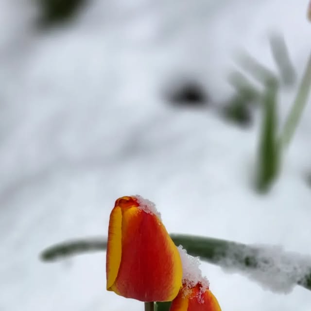 Zach5280's tweet card. Zachary Varón (@zach5280) • Instagram photos and videos