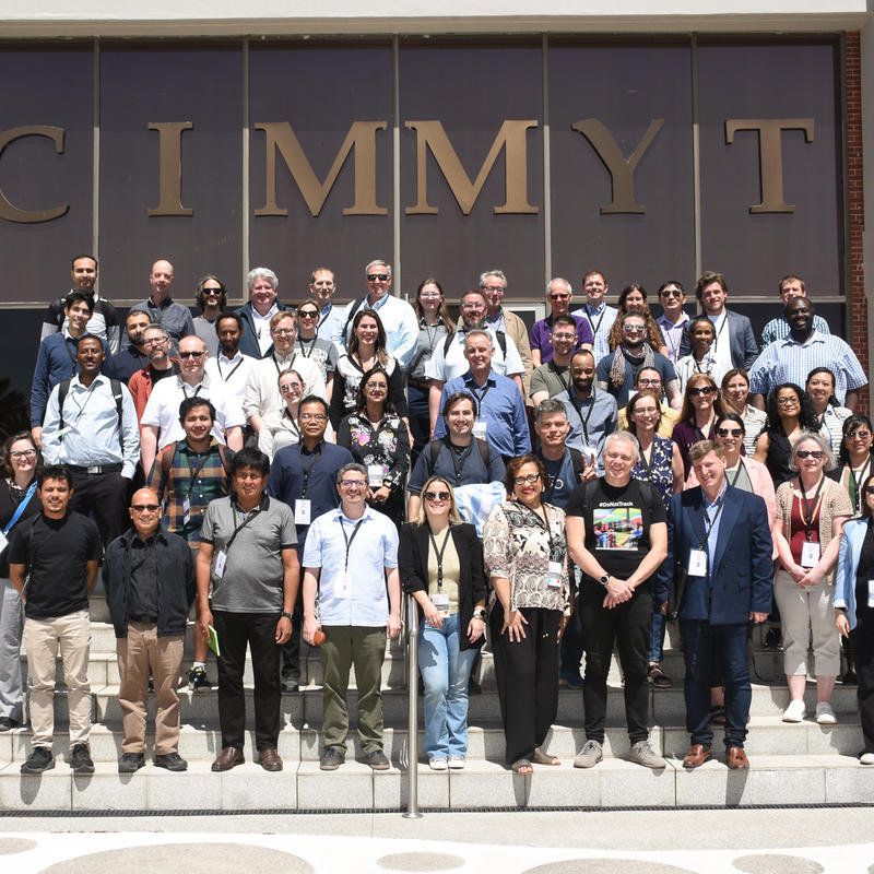 iacus's tweet card. Harvesting Data From the Field to the Cloud, the 2024 Dataverse Community Meeting | The Dataverse...