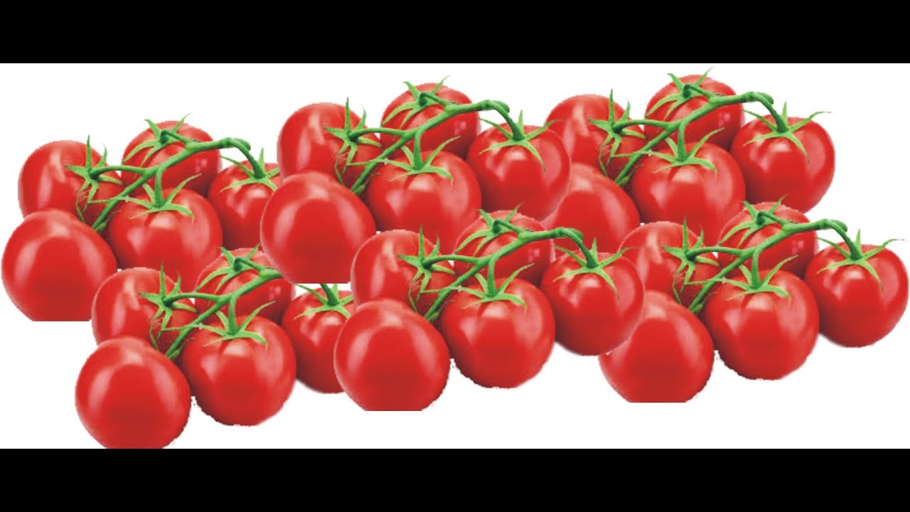 dapivot's tweet card. A Simple Guide to Tomato Uses, Health Benefits, and Economic Import...