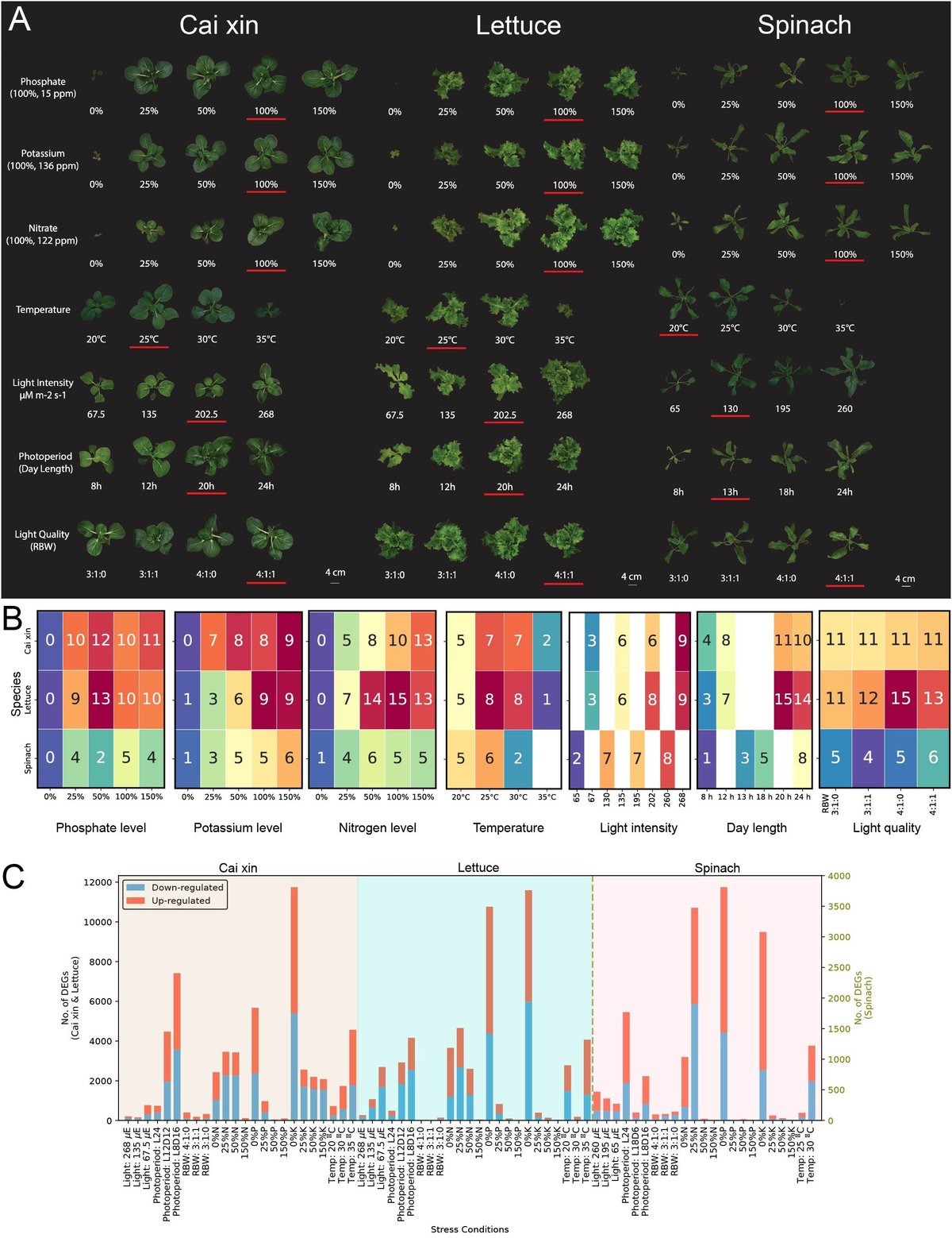 LabMutwil's tweet card. Hydroponics is emerging as a vital method for producing resilient leafy greens in controlled environments. To systematically capture how hydroponically grown...