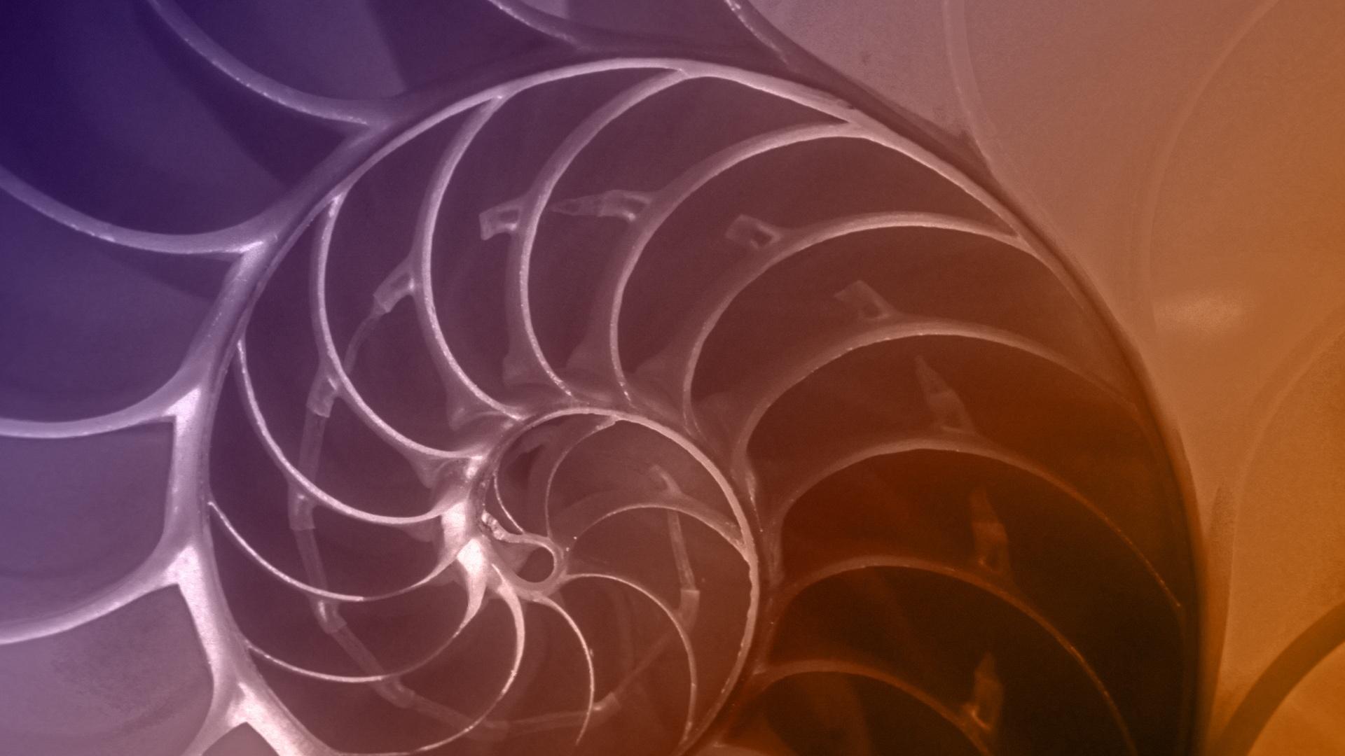 rethinkmath's tweet card. Is math invented by humans, or is it the language of the universe?