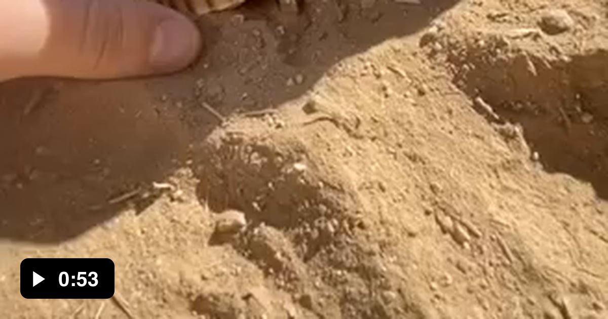 ChatlaMode1's tweet card. 16,457 points • 605 comments