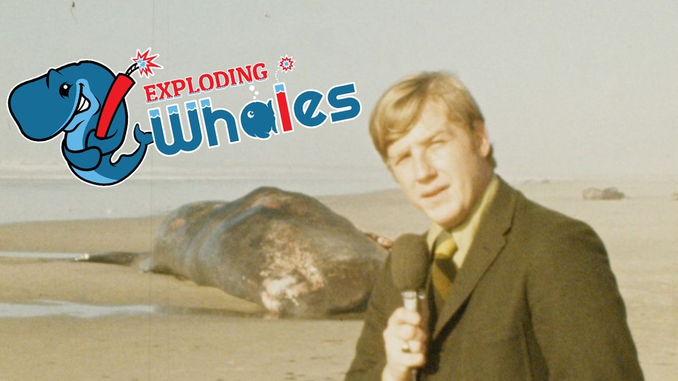 KCBYNews's tweet card. Both the Eugene Emeralds and KATU’s classic news footage of the “exploding whale” got a shout-out on the latest episode of “Last Week Tonight” with John Oliver.