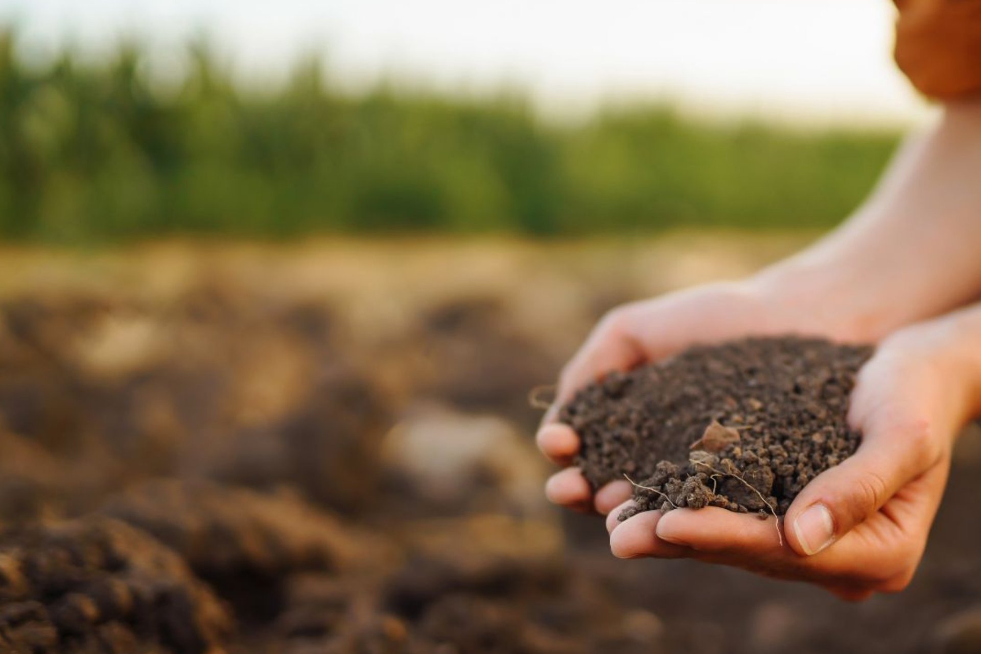 Fenix_ProjectEU's tweet card. Webinar Recap: Biowaste in the EU - Fenix