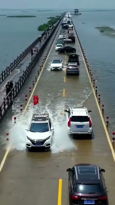 avdprasad7's tweet card. #youtube #youtubeshorts #like #follow #views #viralvideo please like...