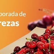 Refruiting's tweet card. Refruiting (@refruiting) • Instagram photo