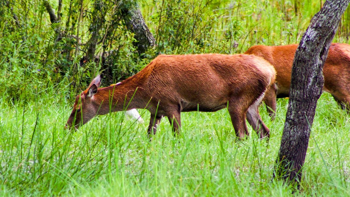 docdevore's tweet card. Post by Doc DeVore