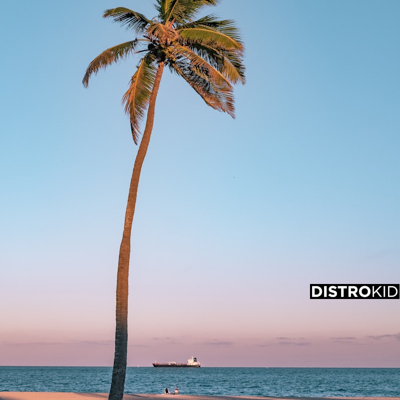 WhyTimeLoFi's tweet card. Stream and Save Beach Vibes - Distributed by DistroKid