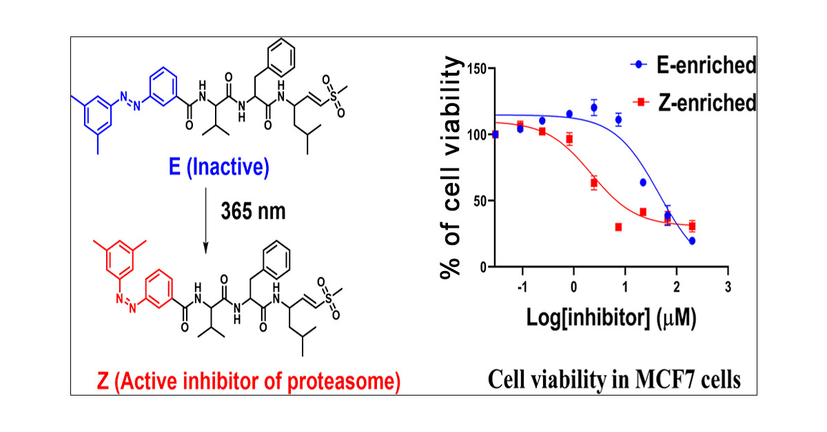 PtlabIISc's tweet card. The precise regulation of proteasome activity has become a focal point in current research, particularly its implications in cancer treatment. Bortezomib is used for treating multiple myeloma and is...