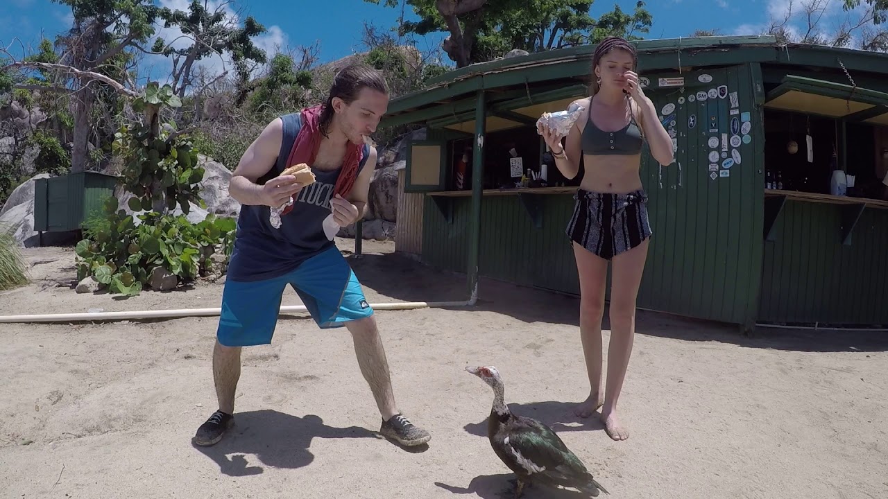 tomdupont's tweet card. Hungry Duck