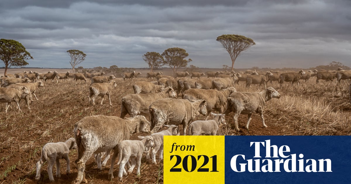 afm_aussie's tweet card. Agriculture is seen as a key culprit in rising emissions. Some on the land are aiming to lead by example, making their properties carbon neutral