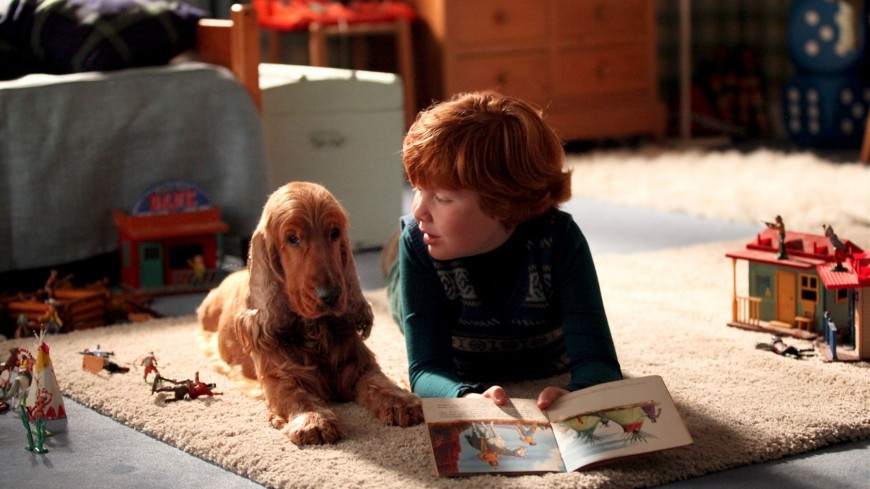 intofilm_edu's tweet card. A quaint period comedy about the friendship between a boy and his beloved Cocker Spaniel, based on a popular and long running French comic strip.