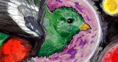 Tweet card summary image