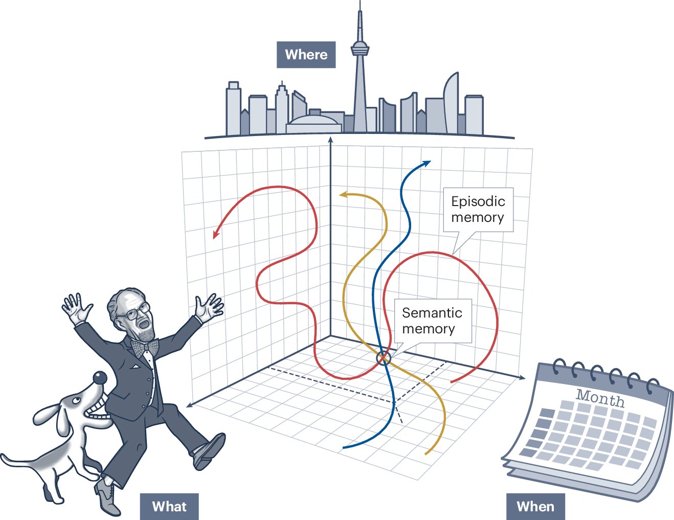MillerLabMIT's tweet card. Nature Reviews Neuroscience - Understanding how the brain represents experienced time and how representations of space and time are integrated to form episodic memories has been a goal of much...
