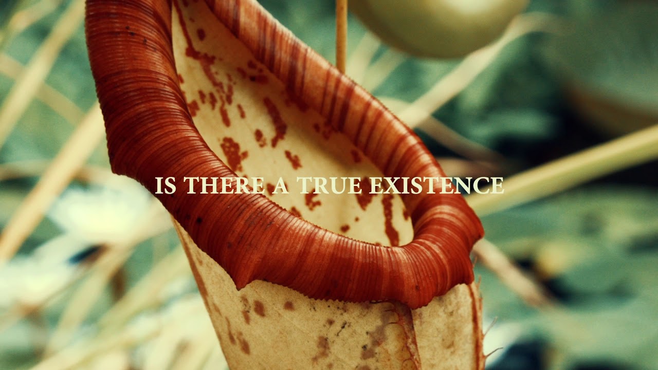 progworldnet's tweet card. KAIPA - What's Behind The Fields (Lyric Video)