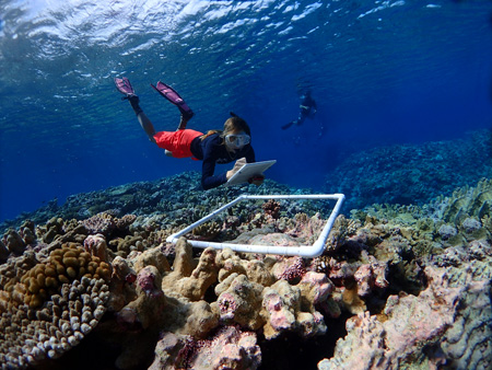 DrKeltonMcMahon's tweet card. Visit the post for more.