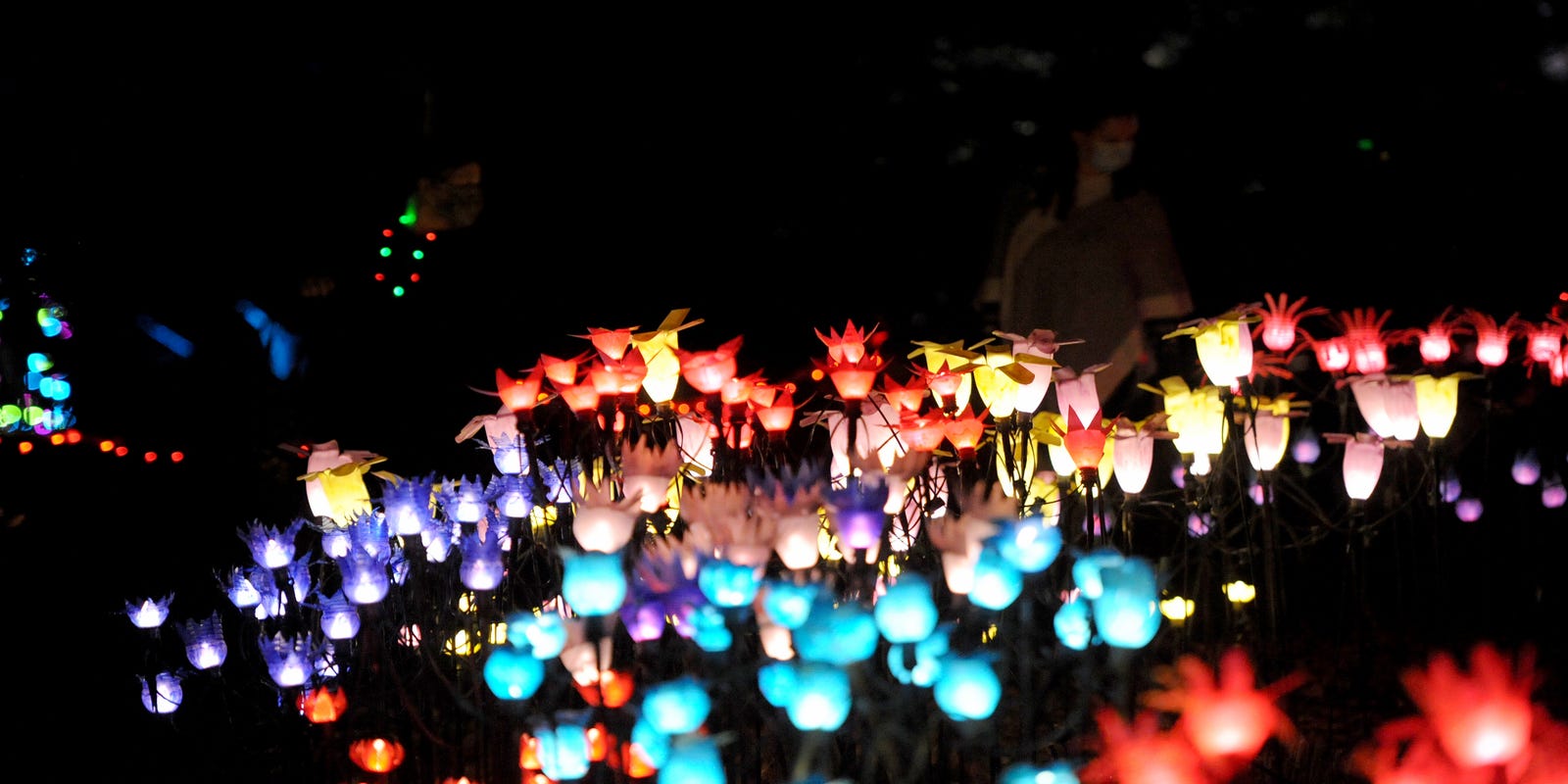 capecodtimes's tweet card. Add roasted marshmallows on a glowing stroll in Sandwich to your holiday to-do list.