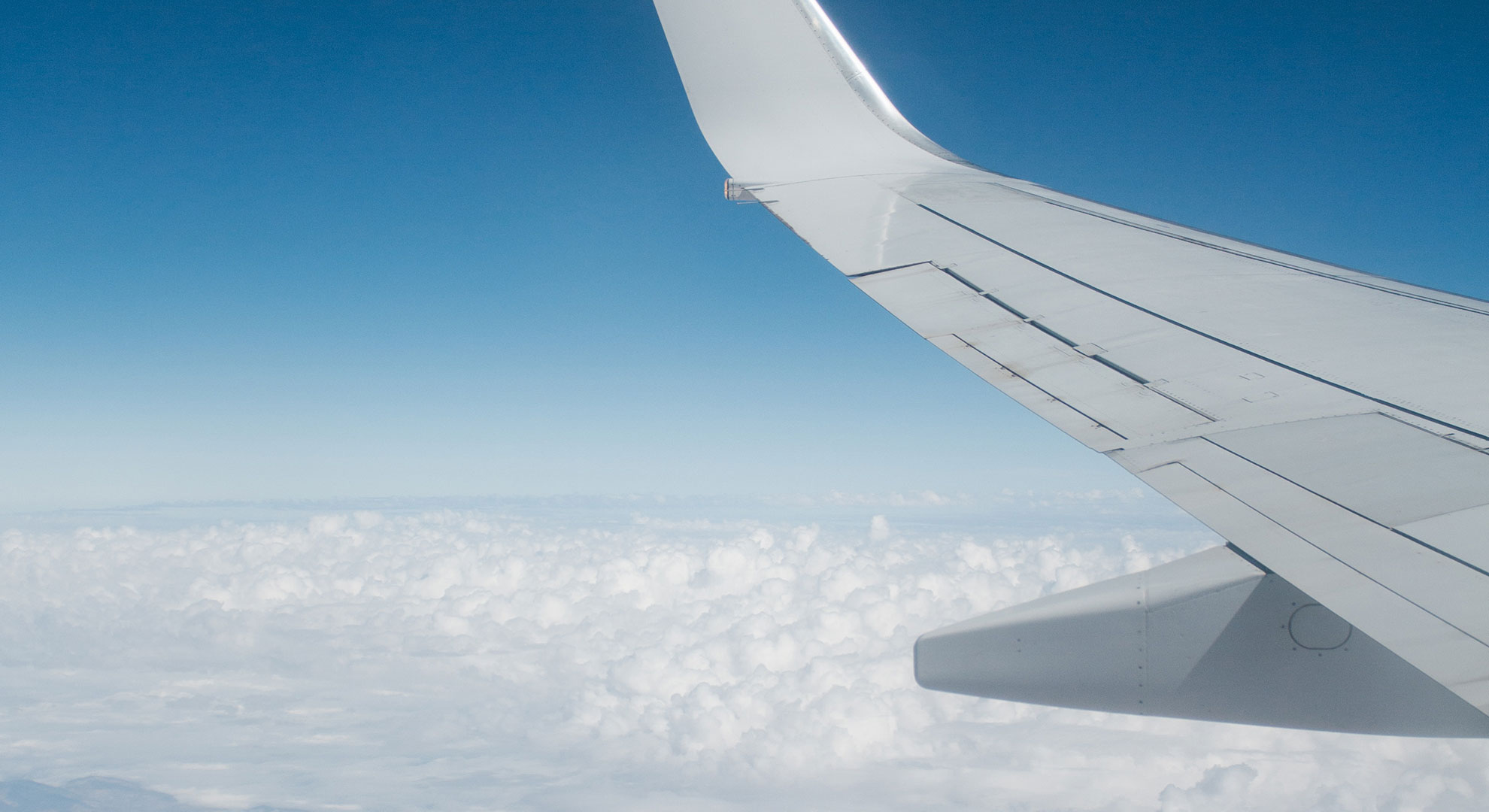 TOCLogisticsInt's tweet card. We work with ocean carriers and airlines to offer competitive air and ocean export rates and ensure cargo arrives quickly and efficiently.