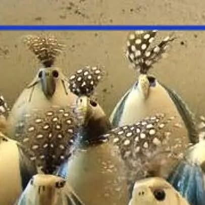 azulartegaleria's tweet card. Azularte Galería (@azulartegaleria) • Instagram photo