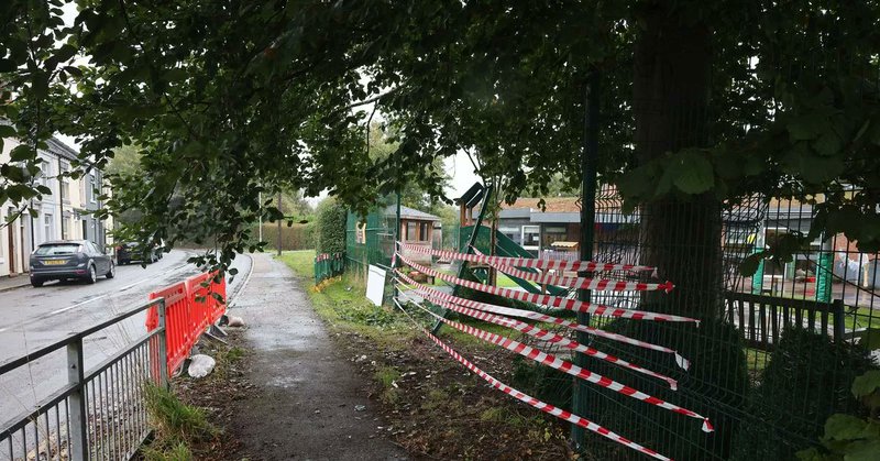 Tweet card summary image