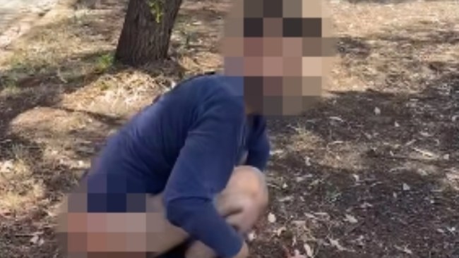 AsianDigest's tweet card. Shocking footage shared online has appeared to show a man being caught defecating in public on a suburban Adelaide street.