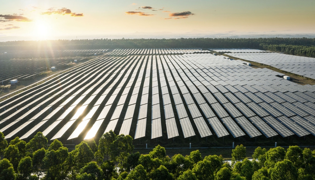 dorfman_p's tweet card. University of Surrey researchers say solar is driving the global shift to clean energy as costs continue to fall