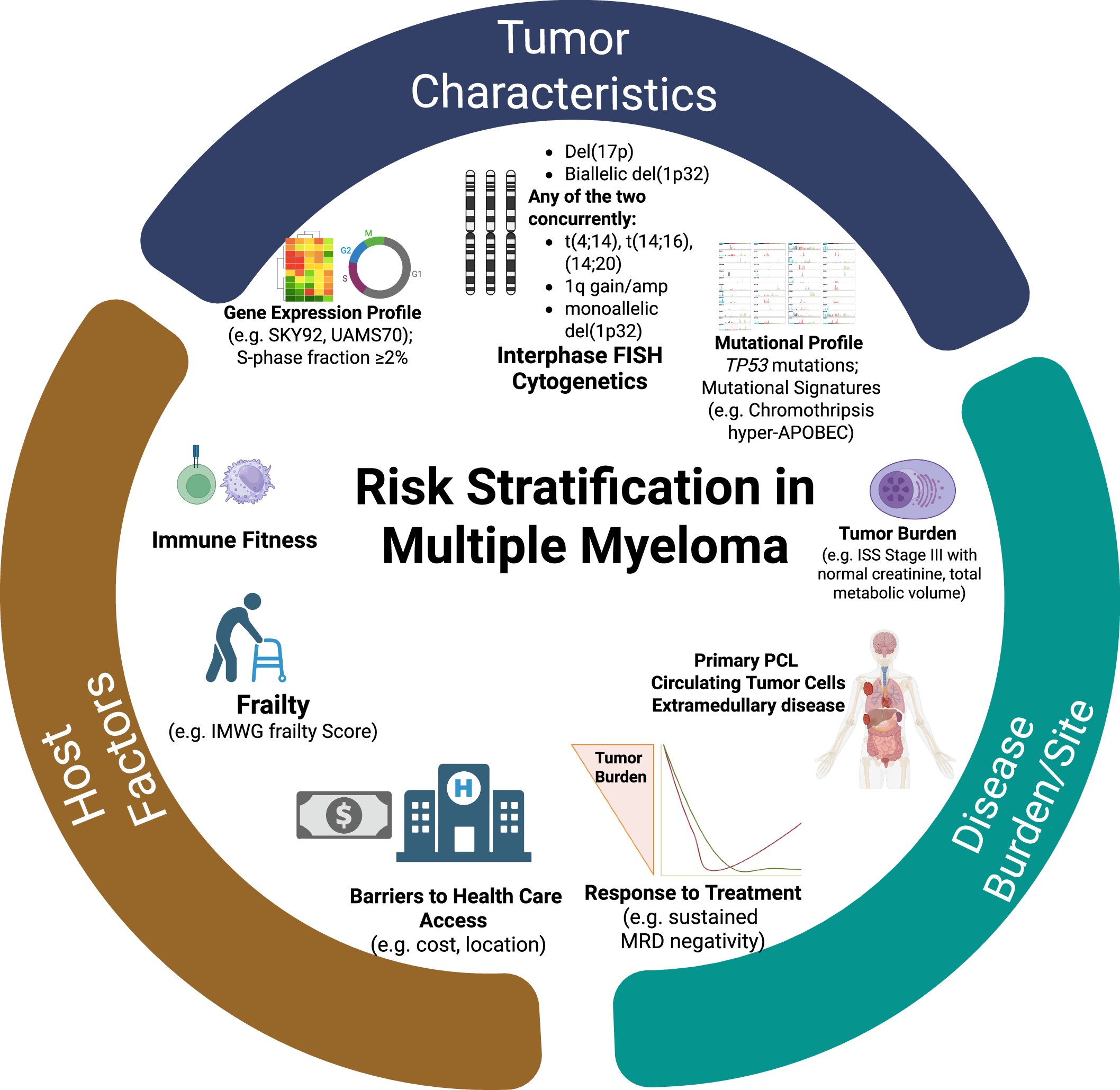 VincentRK's tweet card. Leukemia - Current risk stratification and staging of multiple myeloma and related clonal plasma cell disorders