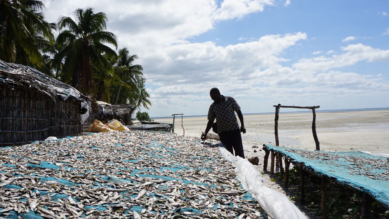 upinarmsajc's tweet card. How is violence in a Mozambique province connected to environmental issues, and what can we do about it?
