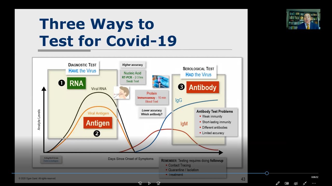 trishellis7's tweet card. Covid-19 Review & Update: 23 April 2020