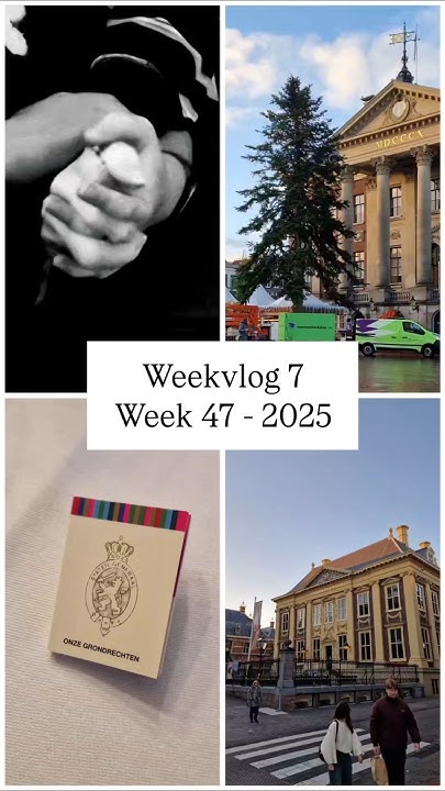 Zaqina's tweet card. weekvlog 7, week 47