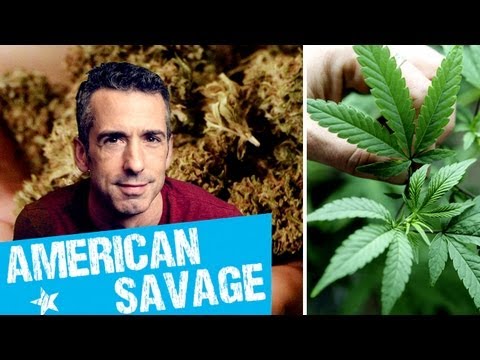 AMPLIFYProject's tweet card. 42 Seconds: Pot Legalization and Marijuana Reform | Dan Savage:...