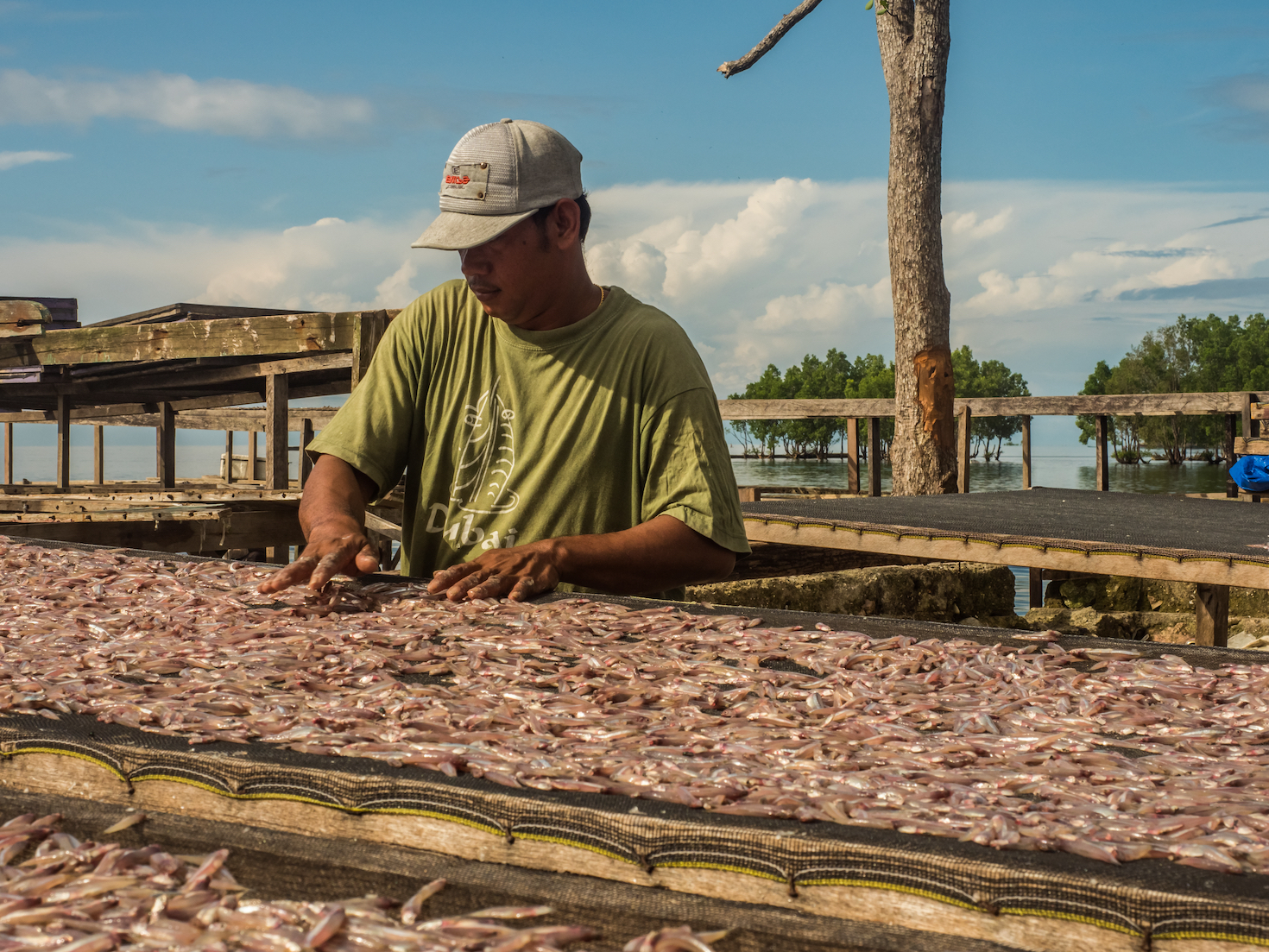 servelearngrow's tweet card. Asset-based development could be the secret to adaptation and resilience for threatened coastal communities around the world.