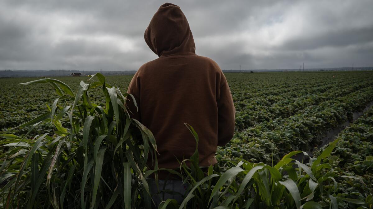 kevrector's tweet card. State officials are failing to protect the health and safety of thousands of young field laborers, an investigation has found.