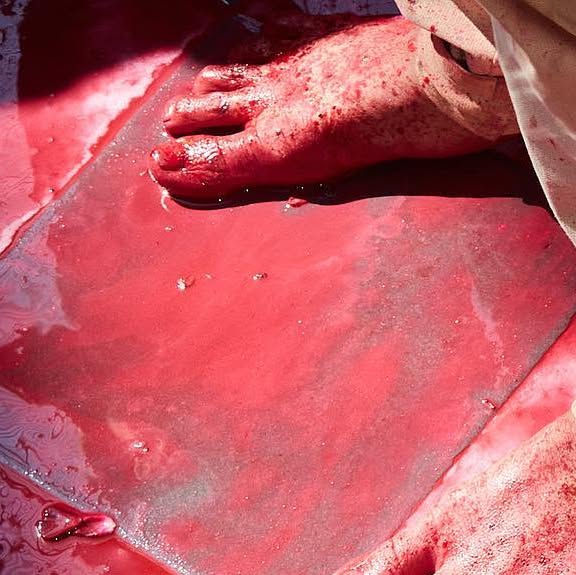 alexmacro's tweet card. Alex Macro (@alexmacro) • Instagram photo