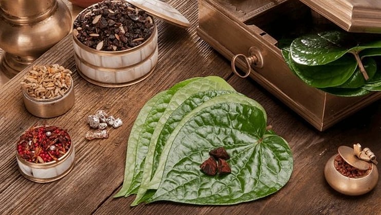 KalkiOnline's tweet card. தமிழ்நாட்டில் மட்டுமல்ல இந்தியாவின் பல பகுதிகளிலும், சமூக நிகழ்வுகள், சடங்குகள் போன்றவற்றில் தினசரி பயன்படுத்தும் ஒன்றாக வெற்றிலை பாக்கு (Betel nuts) முக்கிய பங