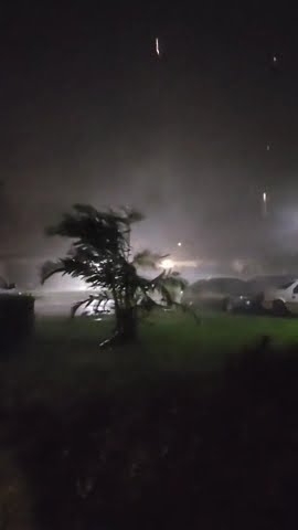 foxgra_p's tweet card. October 10, 2024