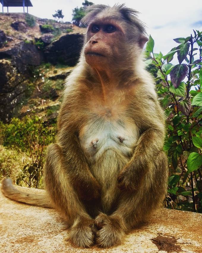 Prashanthhitesh's tweet card. Find more inspiring images at VIEWBUG - the world’s most rewarding photo community.