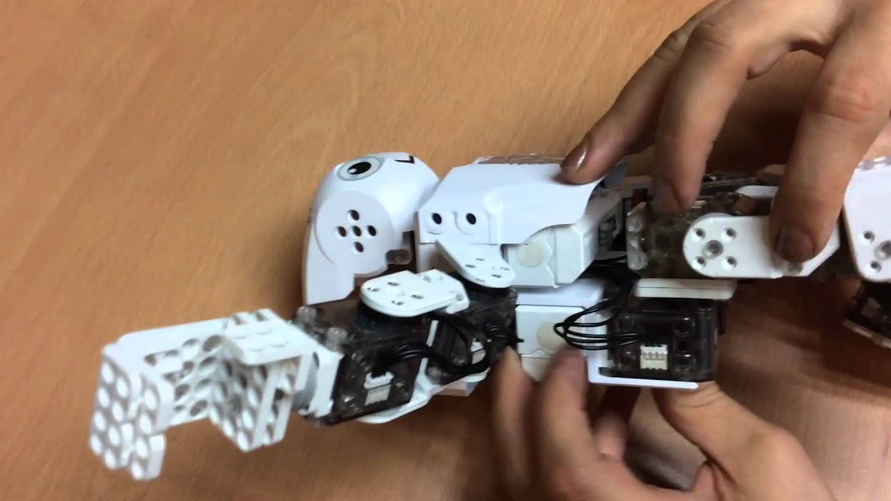 BioRoboticESCOM's tweet card. Comparación Bioloid Premium vs Mini Darwin