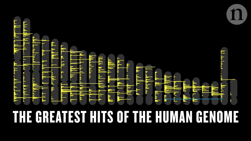 CodegenEu's tweet card. Nature - A tour through the most studied genes in biology reveals some surprises.