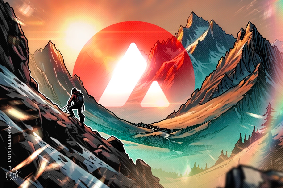 Nadthehippo's tweet card. Avalanche is leading transaction growth with a 66% rise, following its implementation by the US government for GDP data.