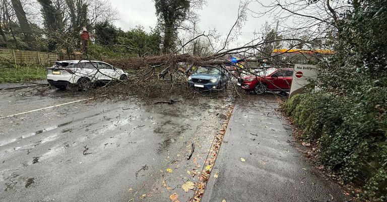 Tweet card summary image