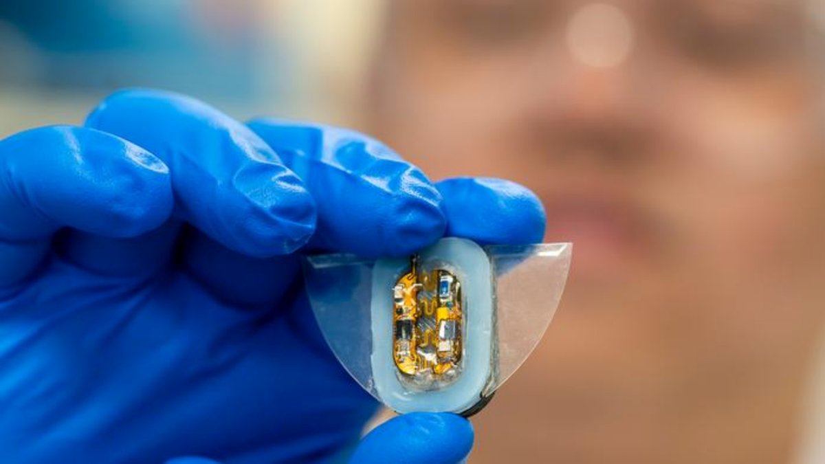 UrbanTecno's tweet card. Los robots blandos son ágiles, delicados y capaces de adentrarse en lugares donde una máquina rígida fracasaría. Sin embargo, en su concepción tiene un gran pun