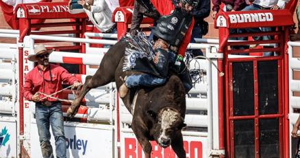 thestarcalgary's tweet card. CALGARY - Canadian cowboys held their own at the Calgary Stampede rodeo by winning four of six events on Showdown Sunday.