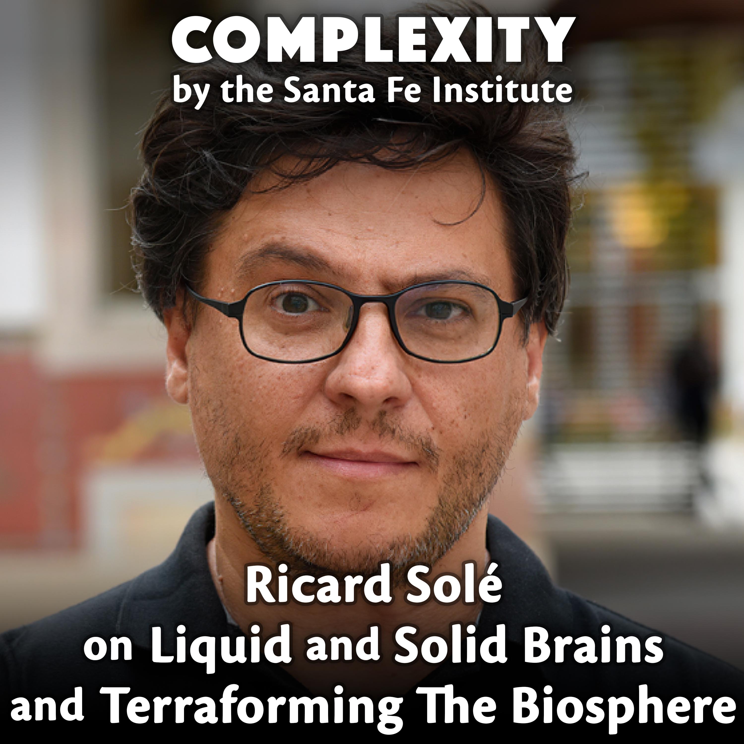 michaelgarfield's tweet card. COMPLEXITY