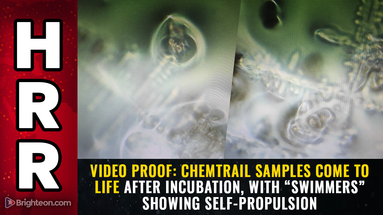 HealthRanger's tweet card. VIDEO PROOF: Chemtrail samples COME TO LIFE after incubation, with “swimmers” showing self-propulsion - First Proof of Self-Mobile Life Form (0:00) - Background and Sample Collection Details (1:25) -