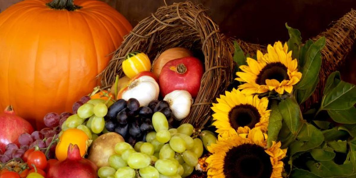 mises's tweet card. The first English settlers in America learned a hard lesson about socialist economics in the early years of their new colonies as they faced starvation. Once they embraced free enterprise, however,...